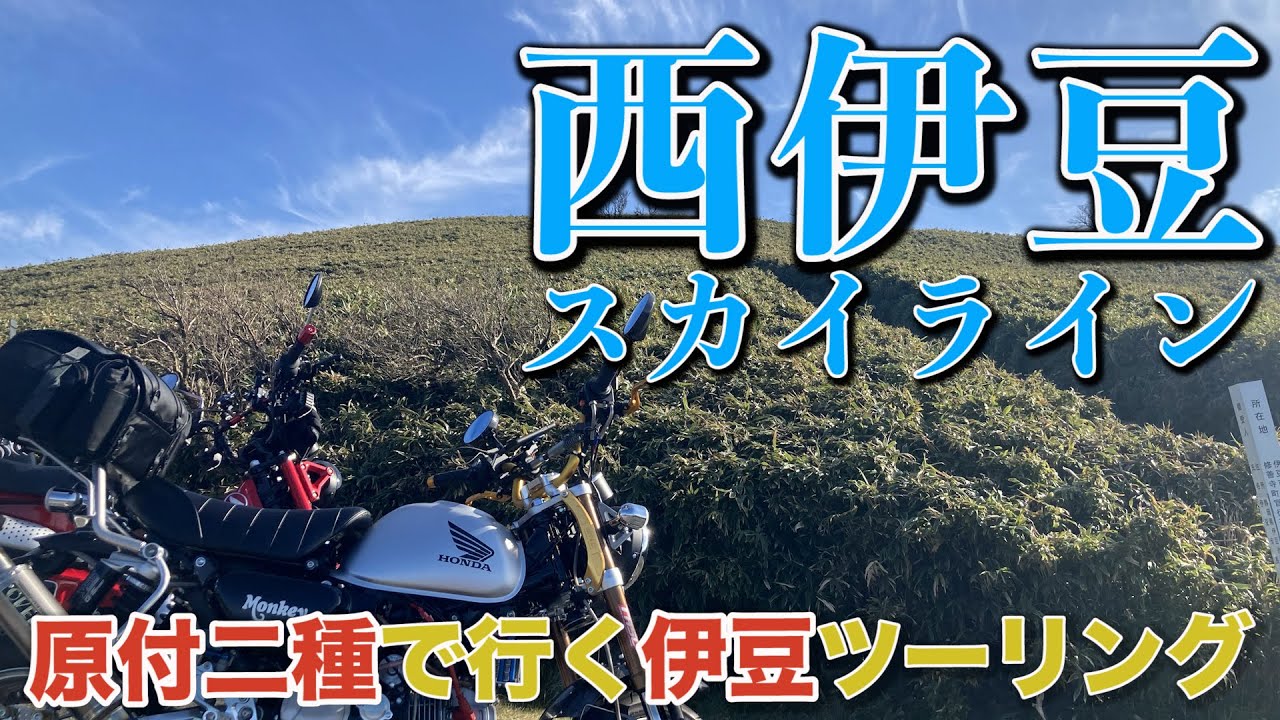 伊豆スカイライン 原付二種(02)