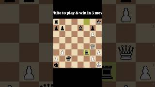 Daily Chess Puzzle- Day29|Beginner Chess Tricks #chess #viralreel #explorepage #trendingreels
