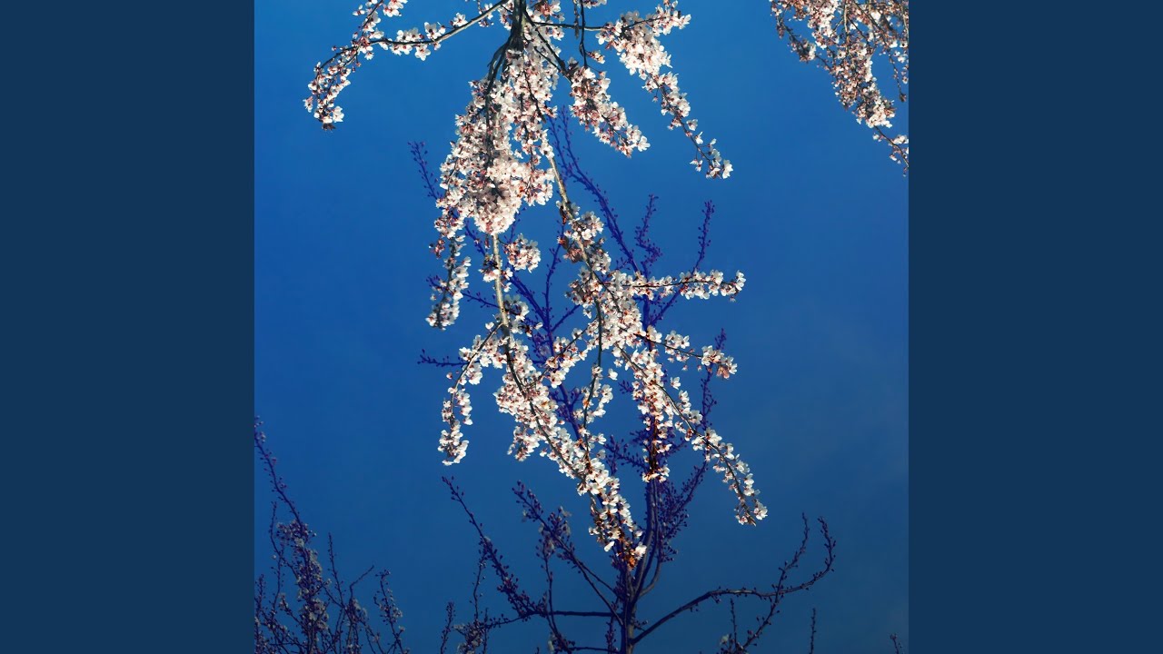 Watch Routine on YouTube Watch Routine on YouTube