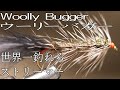 Woolly Bugger / ウーリーバガー Fly Tying フライタイイング 世界一釣れるストリーマー