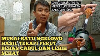 Murai Batu Ngelowo Hasil Terapi Perut Bebas Cabul Dan Lebih Sehat