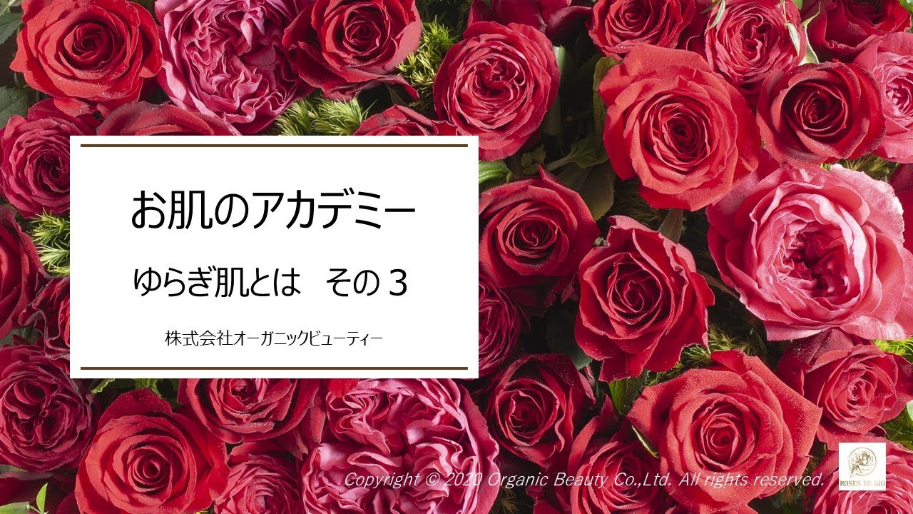 Roses De Bio ローズドビオ公式サイト アンチエイジング エイジングケアのオーガニック化粧品ならローズドビオ