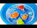 Learn Sea Animal and Zoo Animals Names Shark Video Toys For Kids