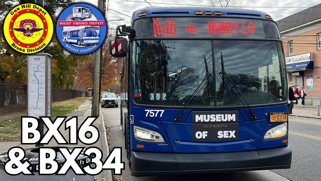 MTA: NovaBus LFS [8636]/[8738], LFS Hybrid [9860], New Flyer XD40