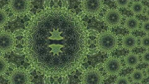 Kemélions "LIQUID DOTS OF KAOS"