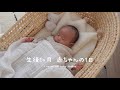 【生後1ヶ月】 赤ちゃんの1日密着👶🏻‪‪🤍男の子ベビー🦕混合育児の悩み🍼