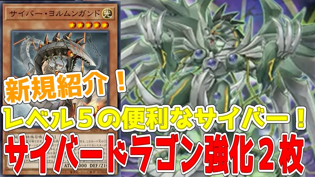 新規紹介！サイバードラゴン強化2枚！レベル5で使いやすいサイバー