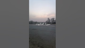 تلاوة من سورة العنكبوت من الآية 53 حتى 56