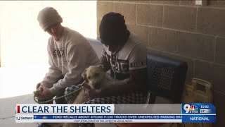 Clear the Shelters aim to match shelter pets with forever homes