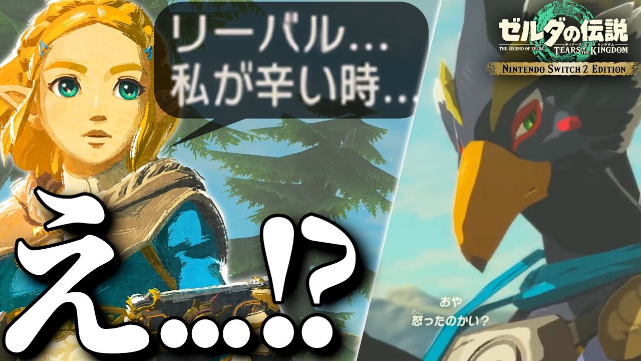 ゼルダの伝説 ソフト ブレワイ ／ティアキン ゼルダの伝説 ブレス オブ ザ ワイルド／ティアーズ オブ ザ