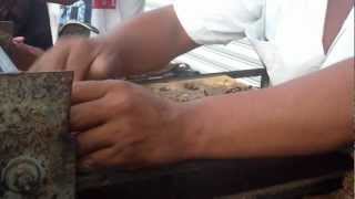 HDV 0445