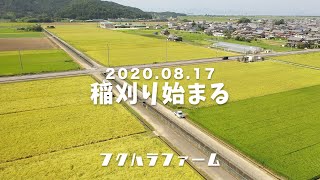 2020稲刈りスタート