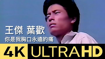 王傑 Dave Wang & 葉歡 Augustine Yeh - 你是我胸口永遠的痛 You Are The Eternal Pain In My Heart 4K MV(官方修復版Video)