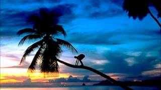 Malavoi Of Martinique Pousser La Vie