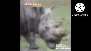 All Preview 2 Animols And Friends Deepfakes