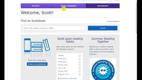 Learning Ally google chrome extension