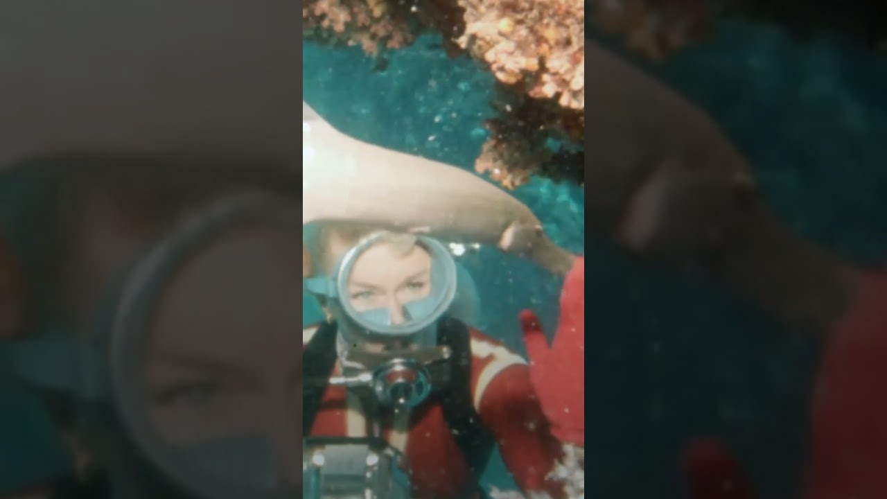 playing with sharks 🦈