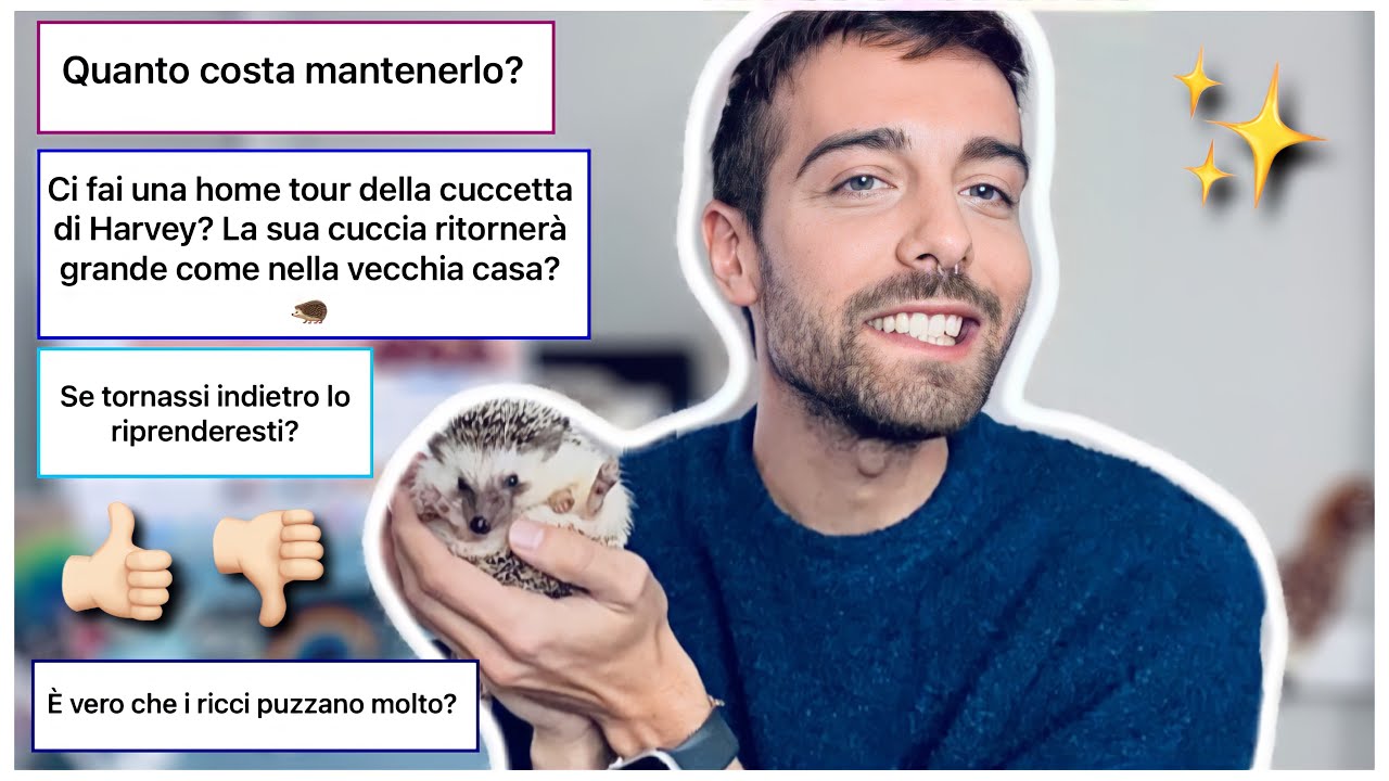 CONFRONTO CON IL MIO RICCIO DOPO 2 MESI PASSATI INSIEME! MI SONO PENTITO?