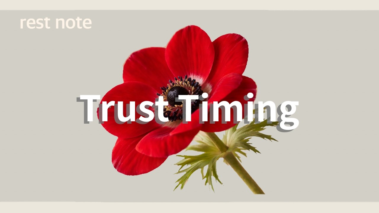 Trust Timing｜タイミングを信じて｜Playlist chill house  lo-fi