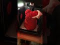 Valentine’s Day 3D print finished product!!