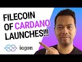 The new filecoin decentralised storage iagon launches on mainnet