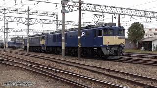 JR貨物　奇跡の国鉄色異種重連 EF64 1028号機+EF65 2065号機の8864ﾚ貨物列車(H30.2.25)