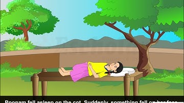 3rd Std CBSE EVS - Chapter 1 - Poonam’s day out -  Topic 1- Poonam’s day out