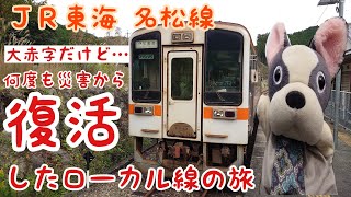 【東海旅客鉄道(JR東海)】(第56回)ぶるのすけの全国鉄道各駅停車の旅 名松線 松阪➡️伊勢奥津 大赤字ながら過去に何度も災害から復活したローカル線の旅