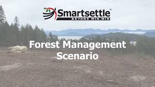 Smartsettle ONE Process