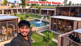 New Pet House in the Village, Big Surprise!