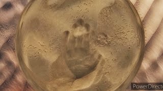 Kisui Dune In The Negev Desert.