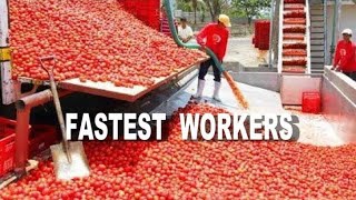 World Fastest Workers  | Satisfying Crushing Compilation #viral #video