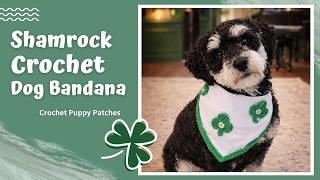 Crochet Shamrock Dog Bandana 🍀 Crochet Puppy Patches Ep. 3