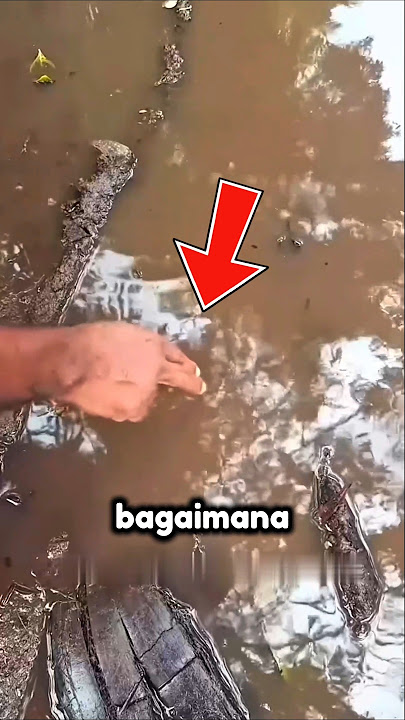 Physics Trick to Retrieve Coins in Murky Water #viral