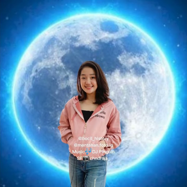 CAPCUT EFFECT MOONLIGHT LAGU DJ PINGUIN