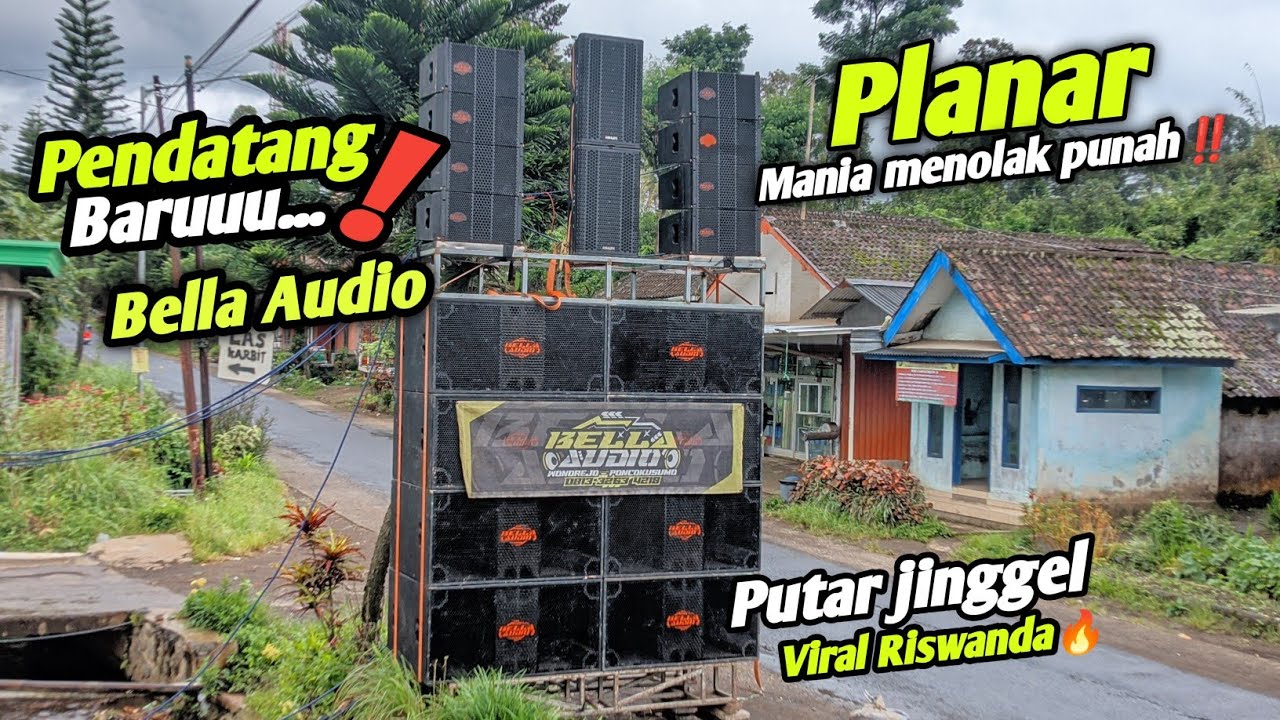 Pendatang baru Bella audio 🔥 planar mania menolak punah ‼️siapkan amunisi karnaval