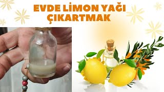 😱 1 dakikada limon yağı nasıl çıkarılır. Evde limon yağı çıkartıyoruz..(LEMON DİSTİLLASYON)🍋 screenshot 5