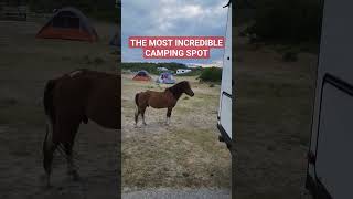 THE BEST CAMPING SPOT, TENT CAMPING ( ASSATEAGUE ISLAND ) Van Life , #camping #horse #offgrid