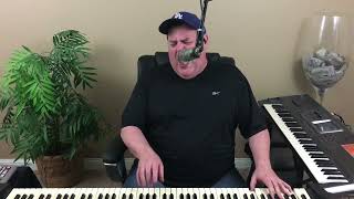 The Show Must Go On (Queen), Cover by Piano Man Steve