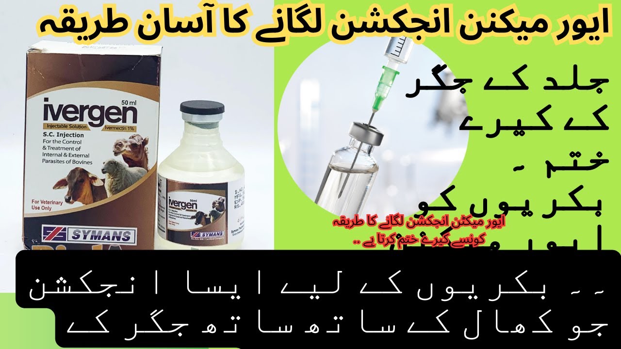 ivergen | The Correct Use of Ivermectin| Ivomec| Ivotek injection in ...