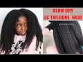 Blow Drying 4C Tailbone Natural Hair | First Time In 3 Years