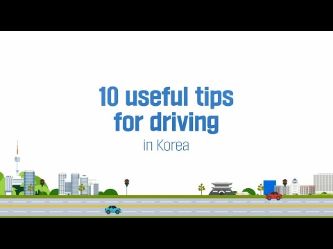 Safe Driving Methods in Republic of Korea l 대한민국의 안전운전 방법! 🍯