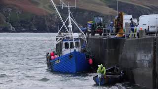 Fishing Crab Leenan 2016