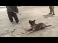 Police K9 "Limit Your Liabilities" with Fred Hassen