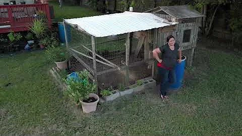 My backyard