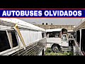 AUTOBÚSES EN EL OLVIDO