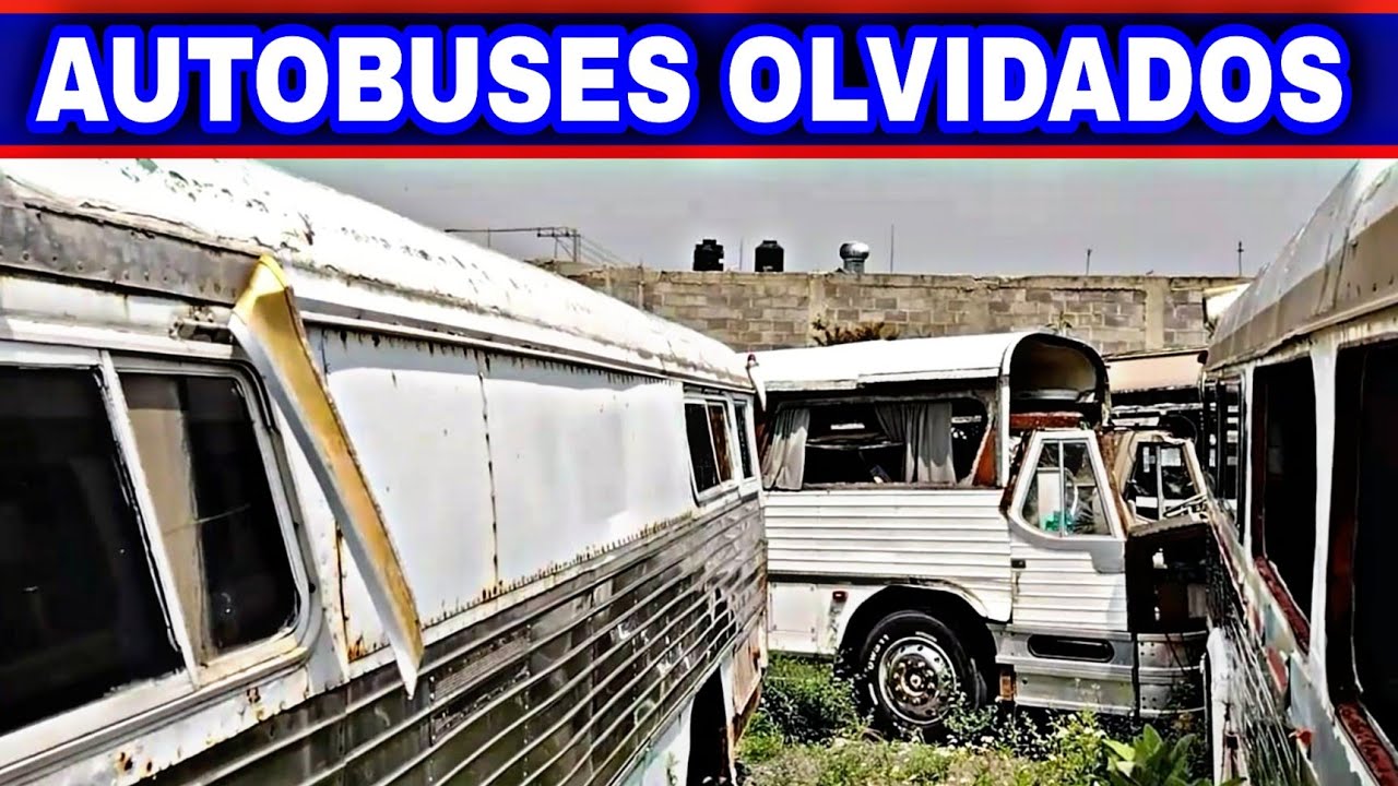 AUTOBÚSES EN EL OLVIDO