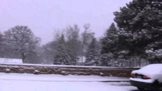 Snowy Day in Minnesota