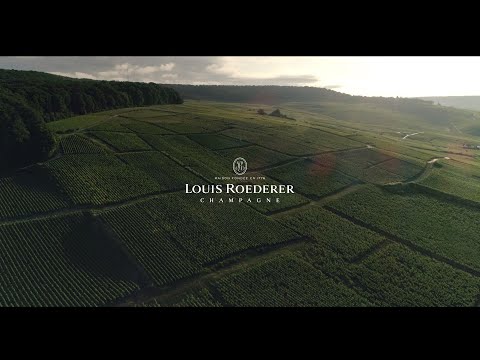A choreography between Man & Nature - video from Louis Roederer