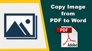 How to copy image from PDF to Word using Adobe Acrobat Pro DC